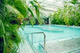 Bassin intérieur des Bains de Cressy entouré de plantes tropicales, eau turquoise et lumière naturelle