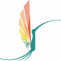 Espace Colibri — Yoga enfants & familles