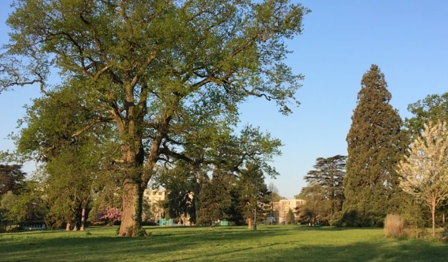 Parc de Trembley
