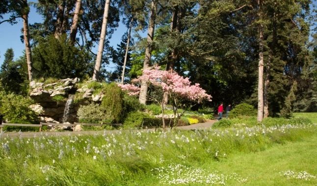 Parc des Eaux-Vives