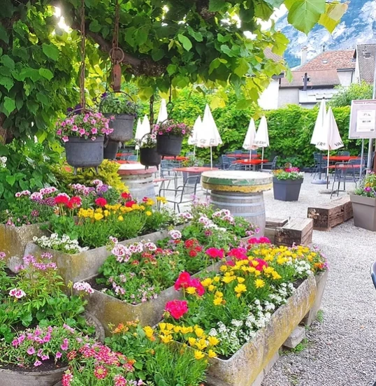Terrasse fleurie du Café Restaurant À l'Union à Veyrier, avec parasols blancs et verdure