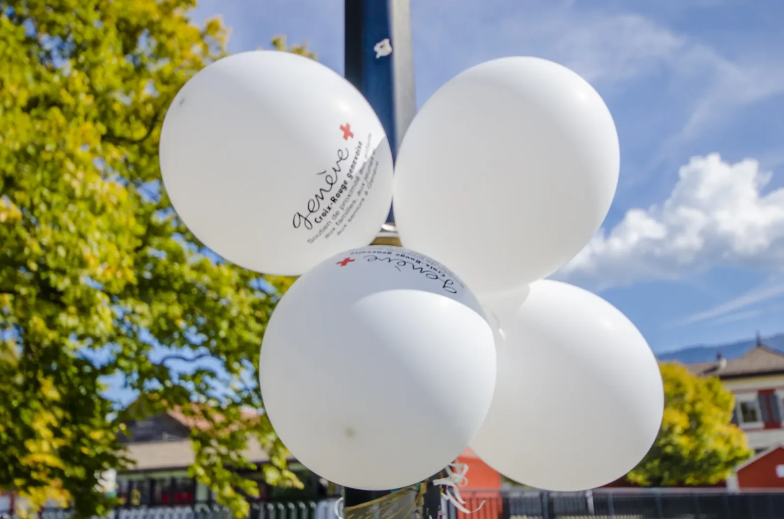 Atelier d'éveil musical pour enfants de 0 à 4 ans, Villa Freundler, Genève
