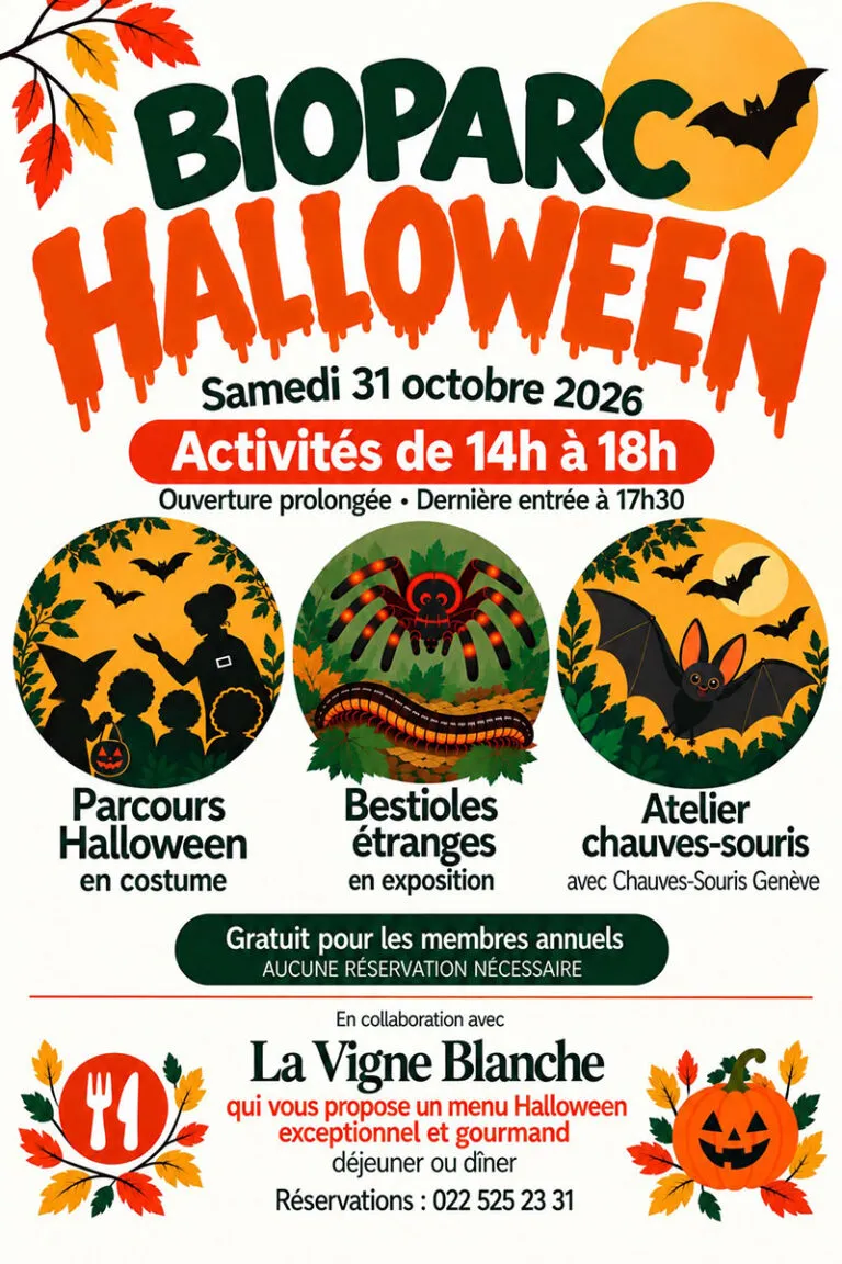 Affiche Halloween au Bioparc, samedi 31 octobre 2026, activités de 14h à 18h